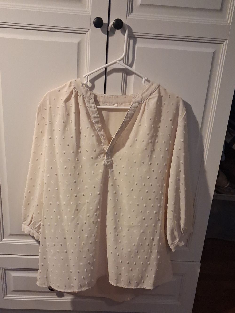 3/$12 Light Cream Swiss Dot V-Neck Women's Blouse